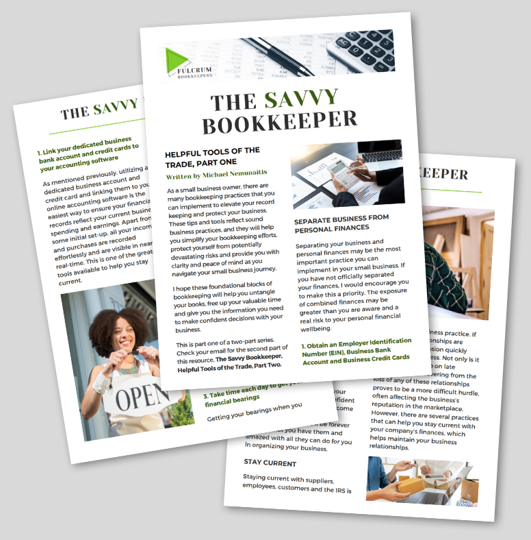 the savvy bookkeeper